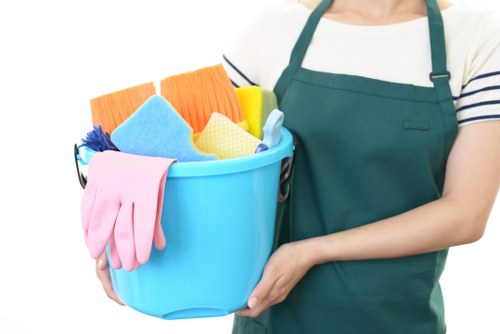 Pet stain odour removal service in a Tooting home living room