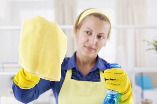 Assessing carpet cleaning concerns with documentation and notes