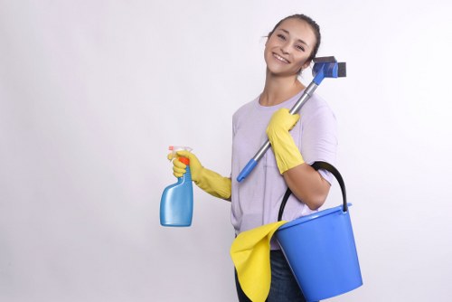 Carpet steam cleaning service for residential flooring