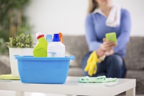 Final policy statement on safe carpet cleaning operations
