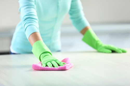 Professional hot water extraction carpet cleaning process