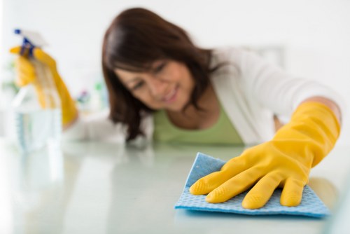 Deep cleaning process for pet urine stains on carpet in Tooting