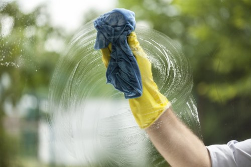 Reviewing a carpet cleaning complaint for possible service recovery