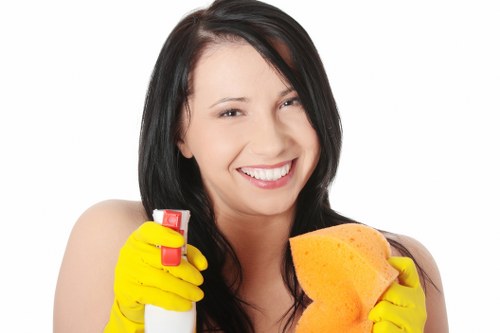SSL protected Tooting Carpet Cleaners payment processing screen